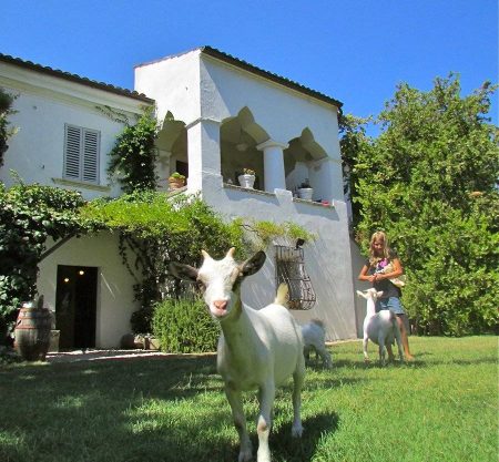 Borgo Madonna degli Angeli