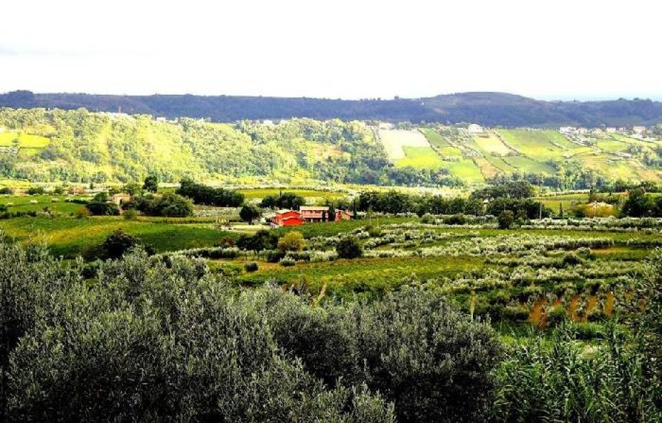 La Capezzagna