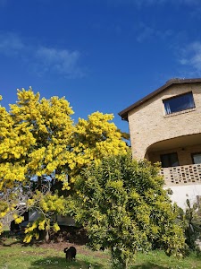 Agriturismo Torre Mannella place picture
